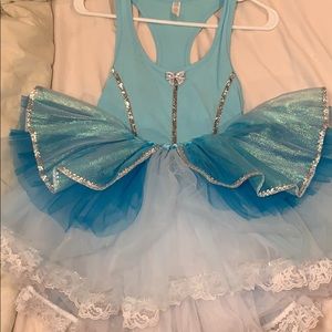 Cinderella RunDisney Costume